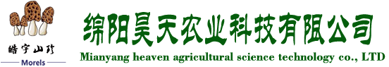 &#20339;&#21338;&#23448;&#26041;&#32593;&#31449;&#95;&#20339;&#21338;&#106;&#105;&#97;&#98;&#111;&#40;&#20013;&#22269;&#41;