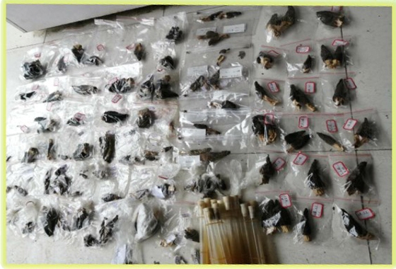 &#20339;&#21338;&#23448;&#26041;&#32593;&#31449;&#95;&#20339;&#21338;&#106;&#105;&#97;&#98;&#111;&#40;&#20013;&#22269;&#41;