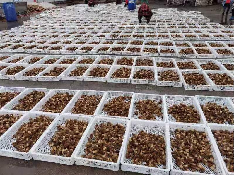 &#20339;&#21338;&#23448;&#26041;&#32593;&#31449;&#95;&#20339;&#21338;&#106;&#105;&#97;&#98;&#111;&#40;&#20013;&#22269;&#41;