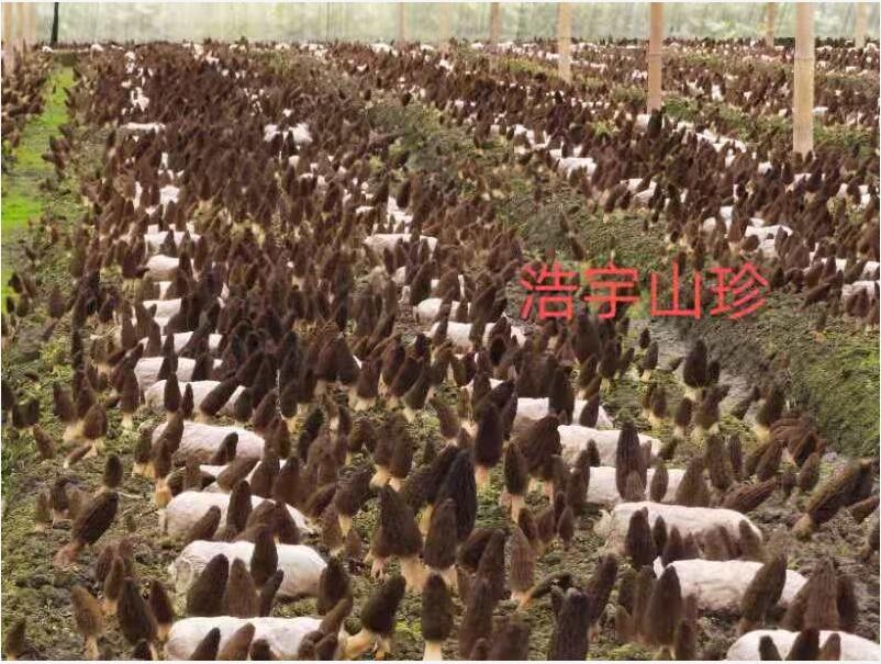 &#20339;&#21338;&#23448;&#26041;&#32593;&#31449;&#95;&#20339;&#21338;&#106;&#105;&#97;&#98;&#111;&#40;&#20013;&#22269;&#41;