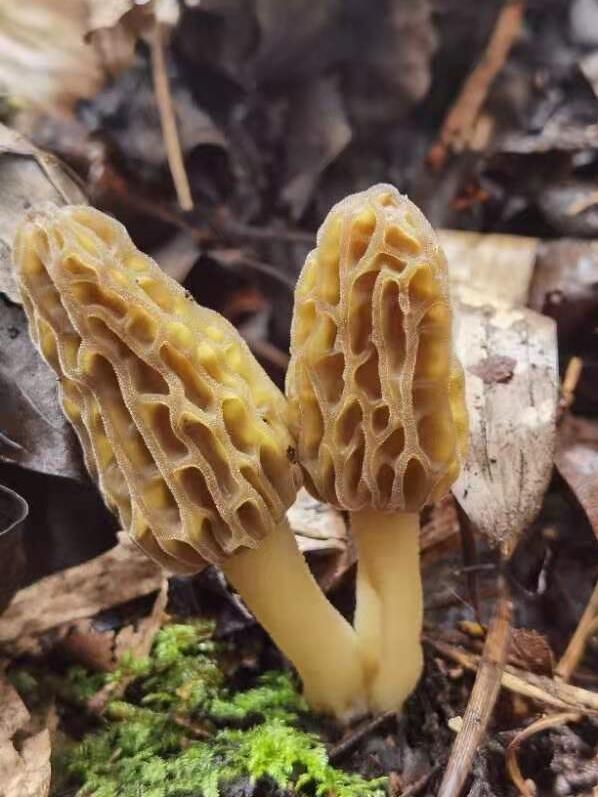 &#20339;&#21338;&#23448;&#26041;&#32593;&#31449;&#95;&#20339;&#21338;&#106;&#105;&#97;&#98;&#111;&#40;&#20013;&#22269;&#41;