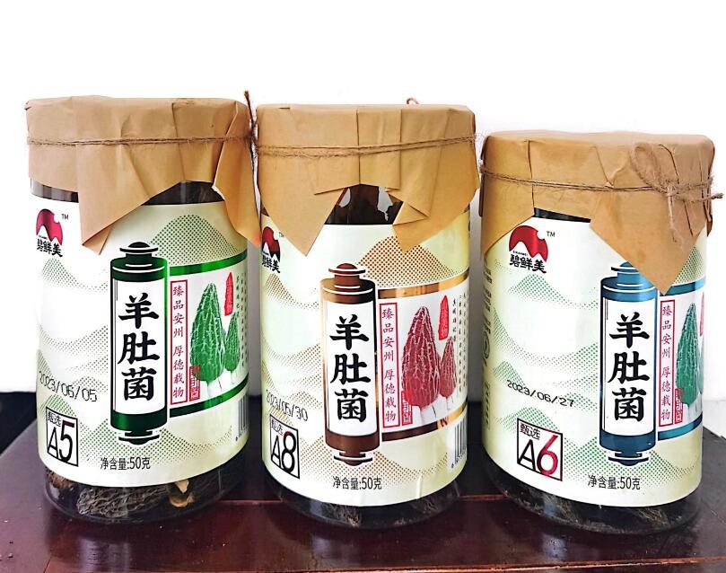 &#20339;&#21338;&#23448;&#26041;&#32593;&#31449;&#95;&#20339;&#21338;&#106;&#105;&#97;&#98;&#111;&#40;&#20013;&#22269;&#41;