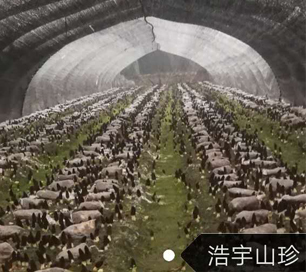 &#20339;&#21338;&#23448;&#26041;&#32593;&#31449;&#95;&#20339;&#21338;&#106;&#105;&#97;&#98;&#111;&#40;&#20013;&#22269;&#41;