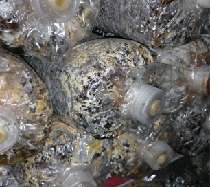 &#20339;&#21338;&#23448;&#26041;&#32593;&#31449;&#95;&#20339;&#21338;&#106;&#105;&#97;&#98;&#111;&#40;&#20013;&#22269;&#41;