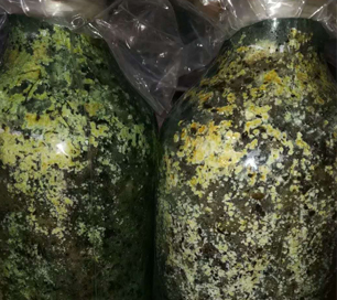 &#20339;&#21338;&#23448;&#26041;&#32593;&#31449;&#95;&#20339;&#21338;&#106;&#105;&#97;&#98;&#111;&#40;&#20013;&#22269;&#41;