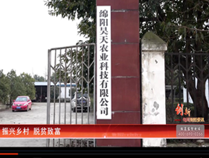 &#20339;&#21338;&#23448;&#26041;&#32593;&#31449;&#95;&#20339;&#21338;&#106;&#105;&#97;&#98;&#111;&#40;&#20013;&#22269;&#41;