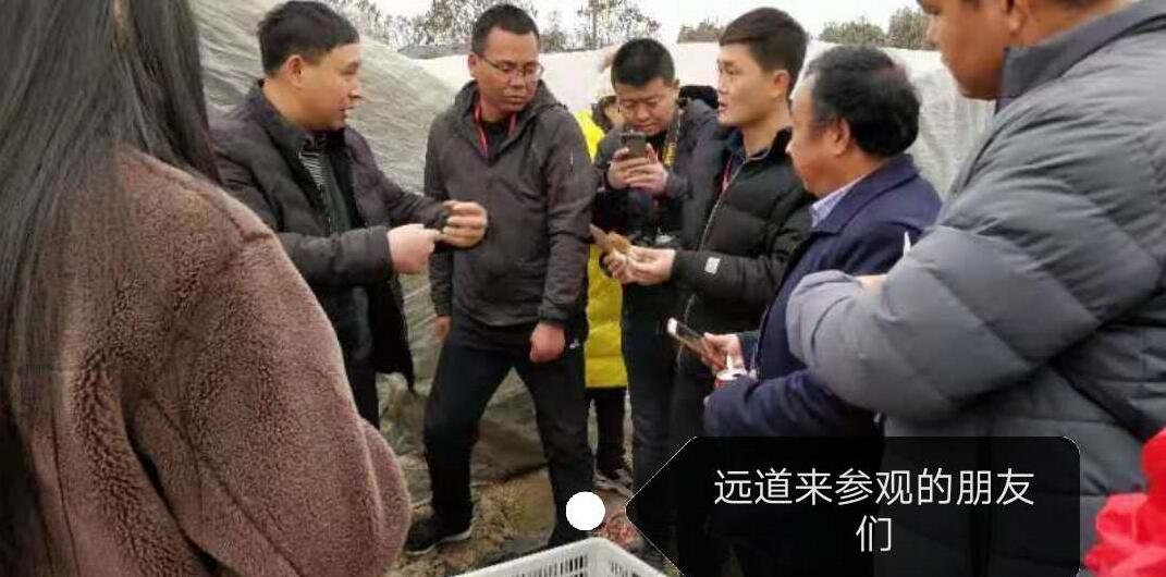 &#20339;&#21338;&#23448;&#26041;&#32593;&#31449;&#95;&#20339;&#21338;&#106;&#105;&#97;&#98;&#111;&#40;&#20013;&#22269;&#41;