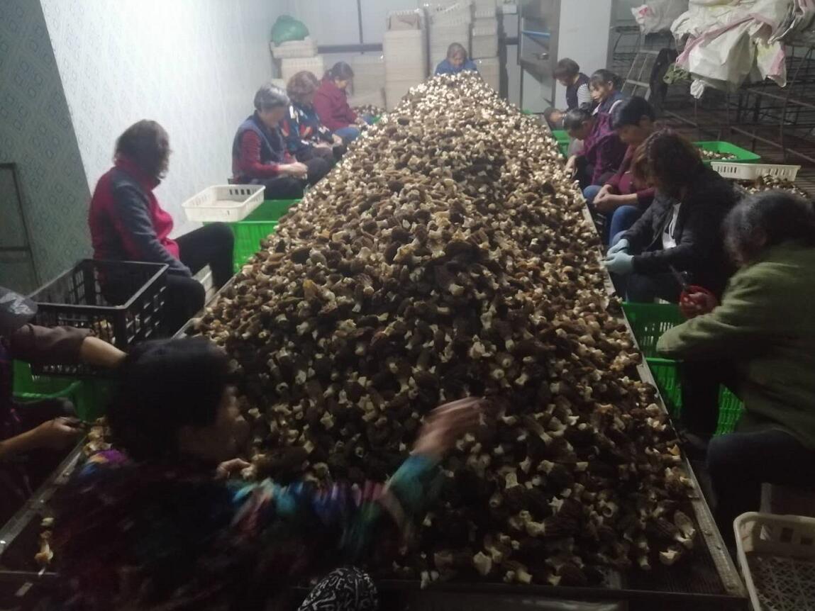 &#20339;&#21338;&#23448;&#26041;&#32593;&#31449;&#95;&#20339;&#21338;&#106;&#105;&#97;&#98;&#111;&#40;&#20013;&#22269;&#41;