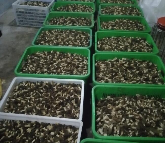 &#20339;&#21338;&#23448;&#26041;&#32593;&#31449;&#95;&#20339;&#21338;&#106;&#105;&#97;&#98;&#111;&#40;&#20013;&#22269;&#41;