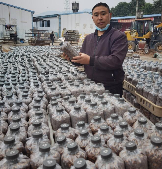 &#20339;&#21338;&#23448;&#26041;&#32593;&#31449;&#95;&#20339;&#21338;&#106;&#105;&#97;&#98;&#111;&#40;&#20013;&#22269;&#41;