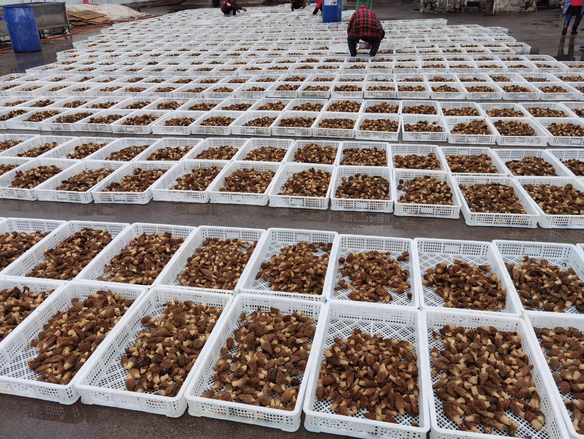 &#20339;&#21338;&#23448;&#26041;&#32593;&#31449;&#95;&#20339;&#21338;&#106;&#105;&#97;&#98;&#111;&#40;&#20013;&#22269;&#41;