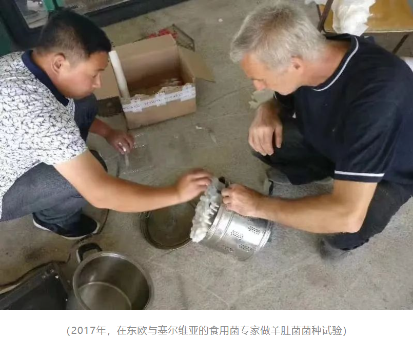 &#20339;&#21338;&#23448;&#26041;&#32593;&#31449;&#95;&#20339;&#21338;&#106;&#105;&#97;&#98;&#111;&#40;&#20013;&#22269;&#41;
