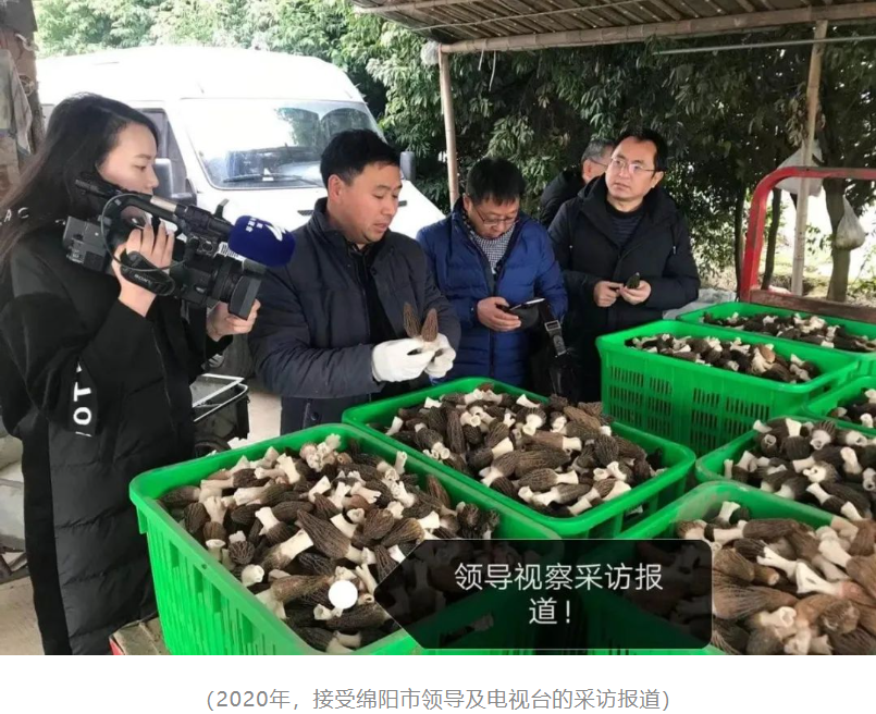 &#20339;&#21338;&#23448;&#26041;&#32593;&#31449;&#95;&#20339;&#21338;&#106;&#105;&#97;&#98;&#111;&#40;&#20013;&#22269;&#41;