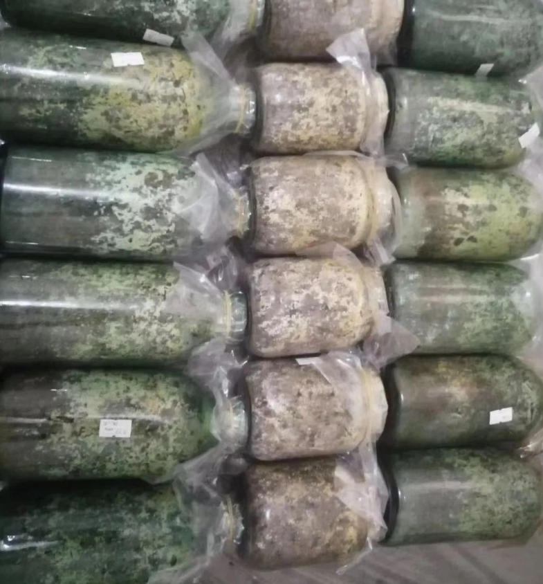 &#20339;&#21338;&#23448;&#26041;&#32593;&#31449;&#95;&#20339;&#21338;&#106;&#105;&#97;&#98;&#111;&#40;&#20013;&#22269;&#41;